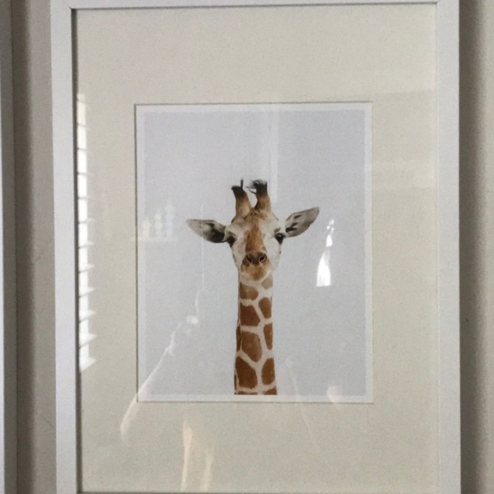 Sharon Montrose print framed with mat.